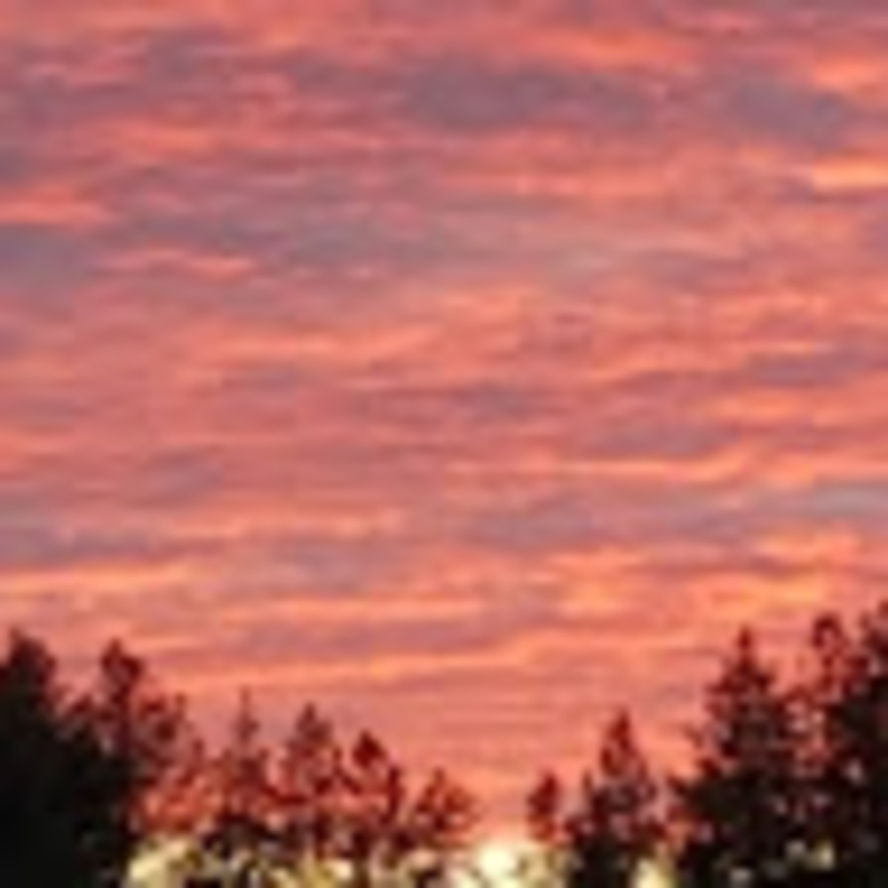 Meet your Posher, Johanna